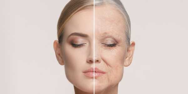 The Role of Antioxidants in Anti-Aging Skincare